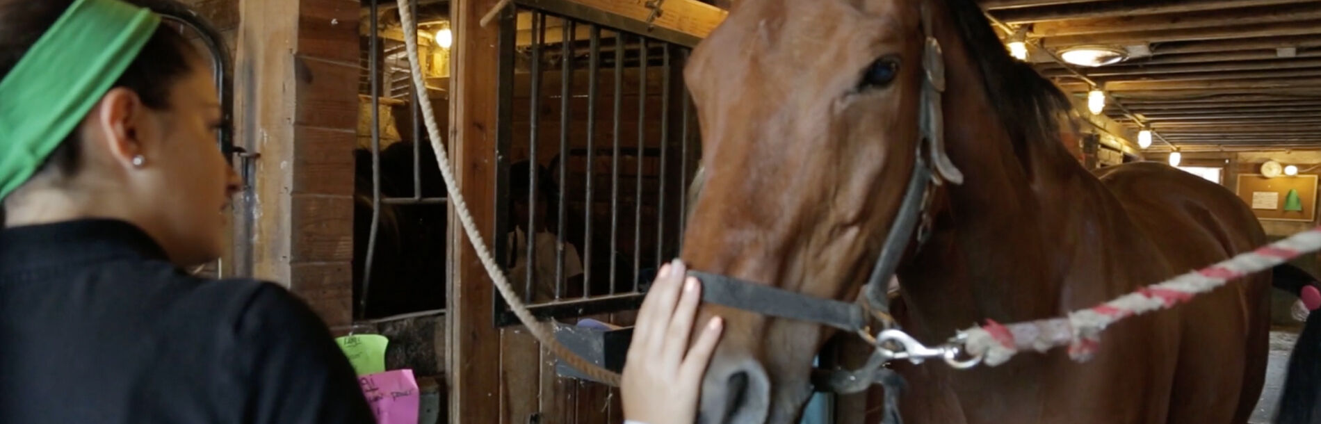 CA video Thomas School of Horsemanship