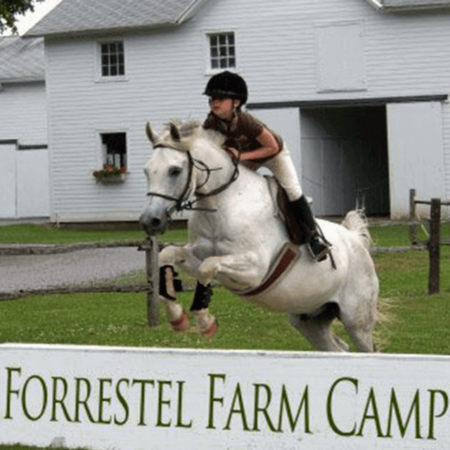 Httpsold campamerica co ukimagesuploadsimages Forestell Riding png